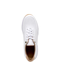 OLI1684BS