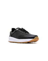 OLI1684BS