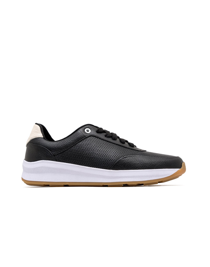 OLI1684BS