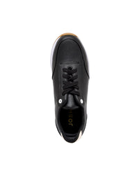 OLI1684BS