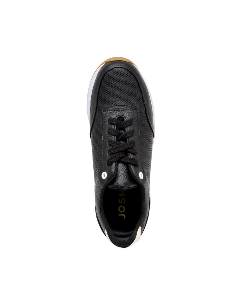 OLI1684BS
